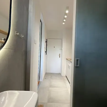 With A View On Center Park Apartman Maribor