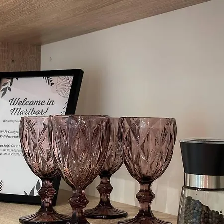 Apartman With A View On Center Park *